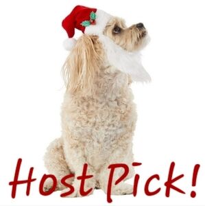 NWT Merry & Bright Pet Santa Hat with Attached Beard Dog Chistmas New